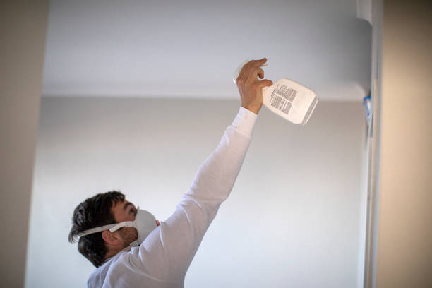 Best Mold Damage Repair  in Woodlands, CA