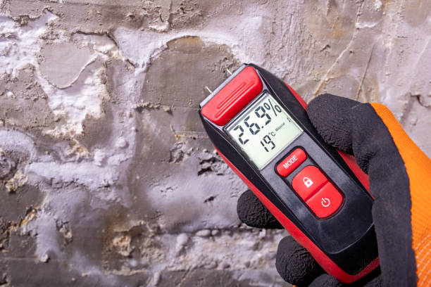 Best Local Mold Removal Service  in Woodlands, CA