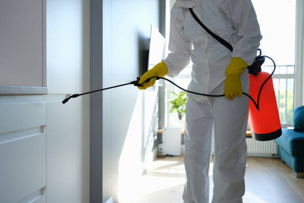 Best Mold Testing  in Woodlands, CA