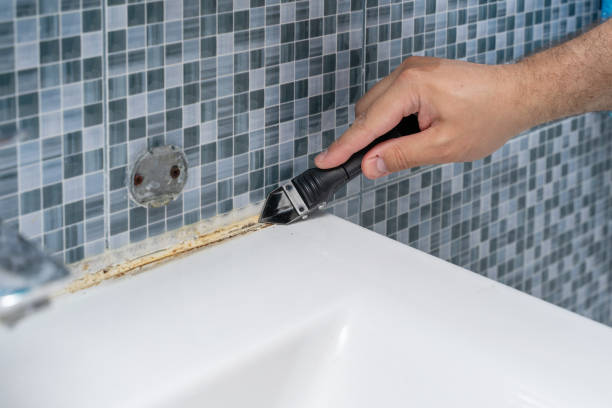 Best Attic Mold Removal  in Woodlands, CA