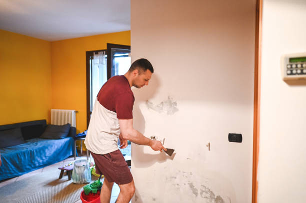 Best Same-Day Mold Removal  in Woodlands, CA
